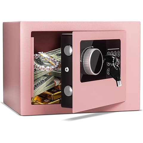 Goldenkey Small Kids Safe for Money, Digital Mini Safes with Keys&Code for Cash, Safe Box for Per... | Amazon (US)