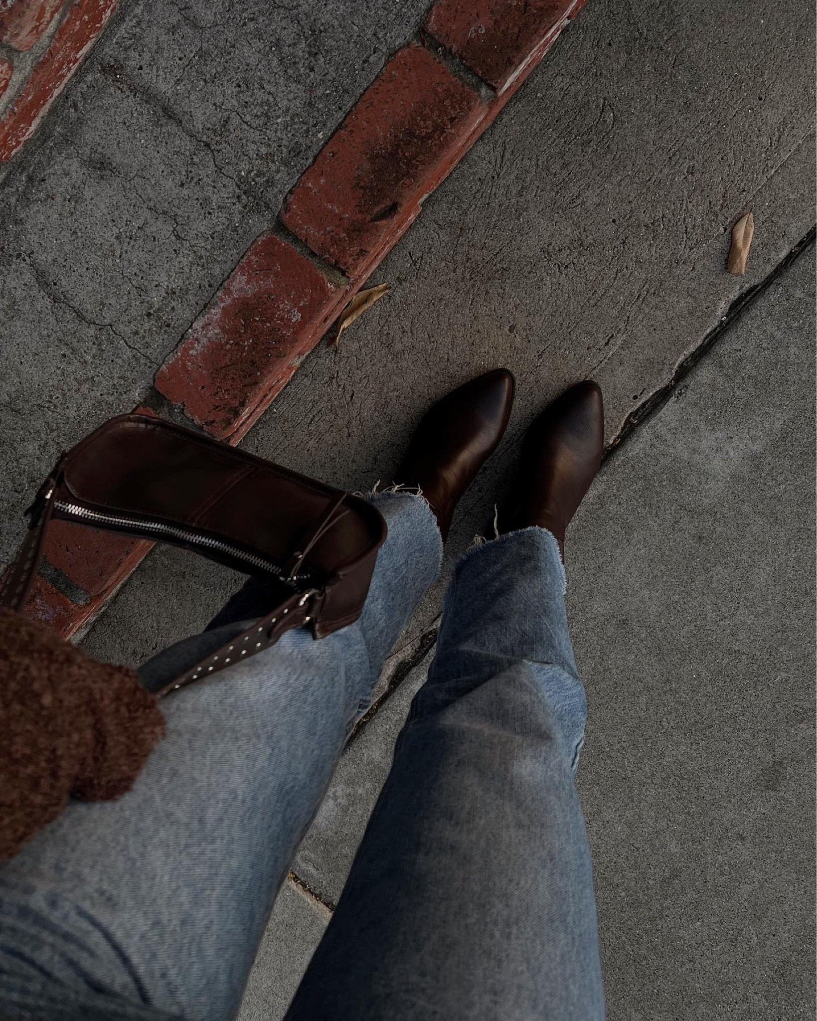 chocolate brown for fall 🤎🍂🐻