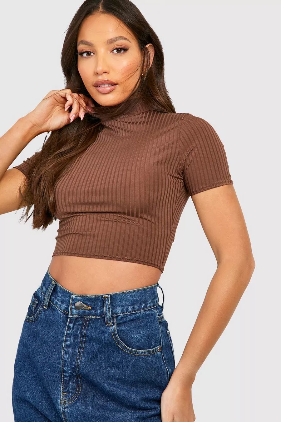 Short Sleeve High Neck Ribbed Crop Top | Boohoo.com (US & CA)