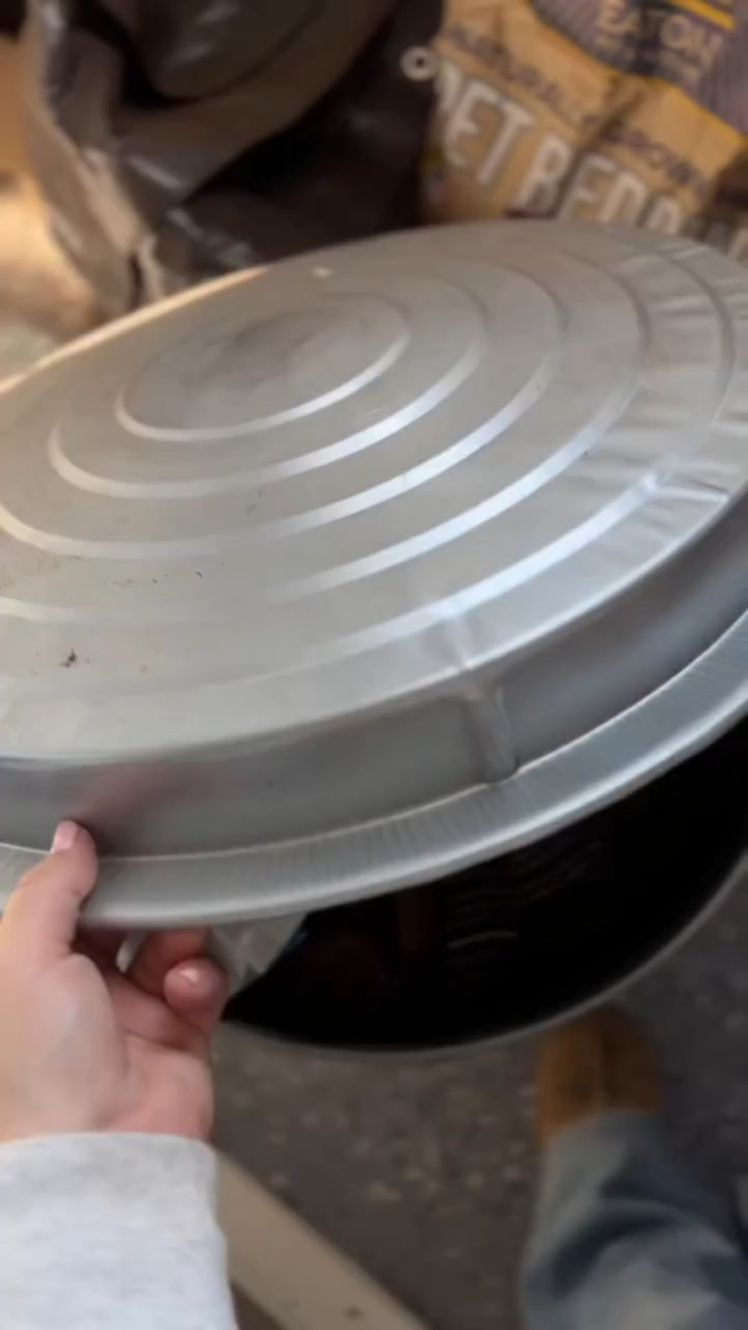 Give me all the eggs!! 😃 using @eatonpetandpasture Henhouse Hemp 100% hemp seed & Premium Grubs black soldier fly larvae as a treat! 

🔗 in bio :)
.
.
.
.
.
#Chickens #backyardchickens #chickencoop #backyardchickensofinstagram