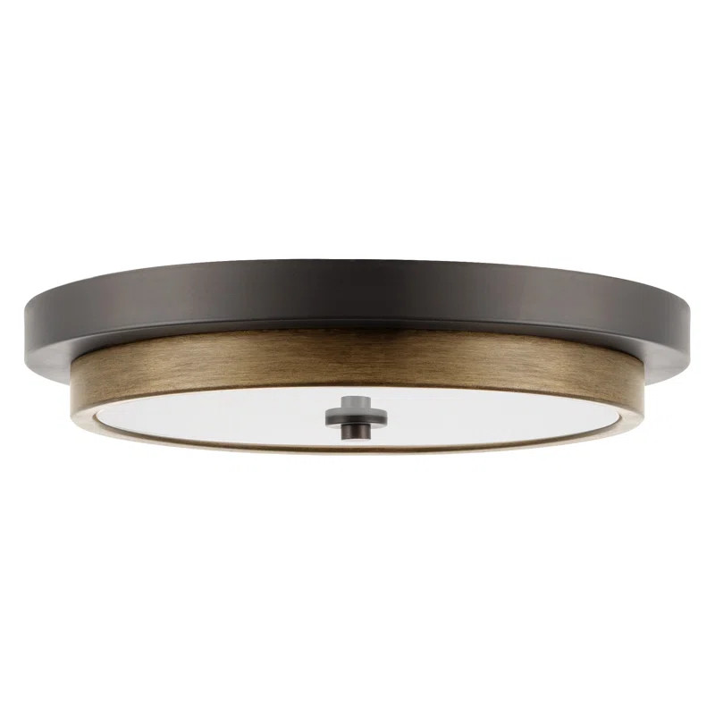 Muspelheim 14'' Simple Circle LED Semi Flush Mount | Wayfair North America
