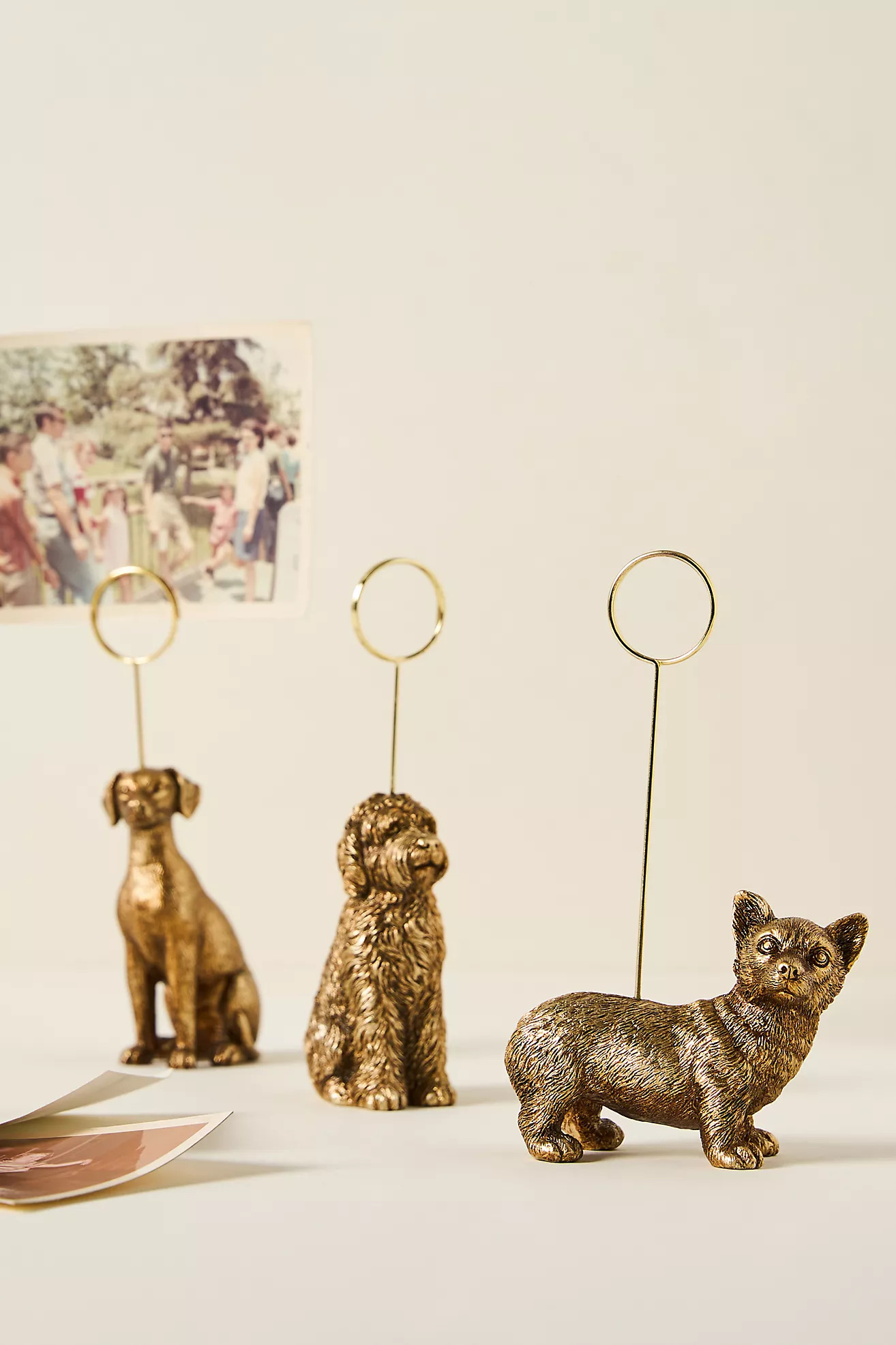 The Animal Icon Photo Holder: Dog Edition | Anthropologie (US)