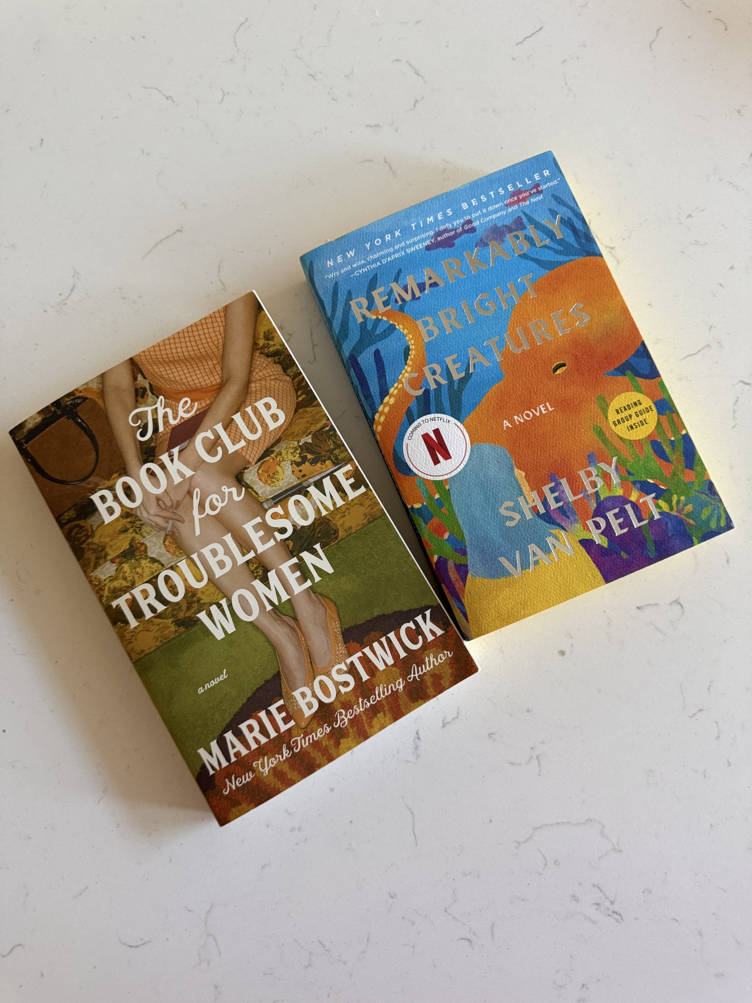 Just added these beautiful reads to my shelf: The Book Club for Troublesome Women and Remarkably Bright Creatures. Can’t wait to dive in.
#LTKbooks #TBR #BookCollection #ReadersOfLTK #bookish #bookclub #reading #book

#LTKstorytime #LTKSaleAlert #LTKHome