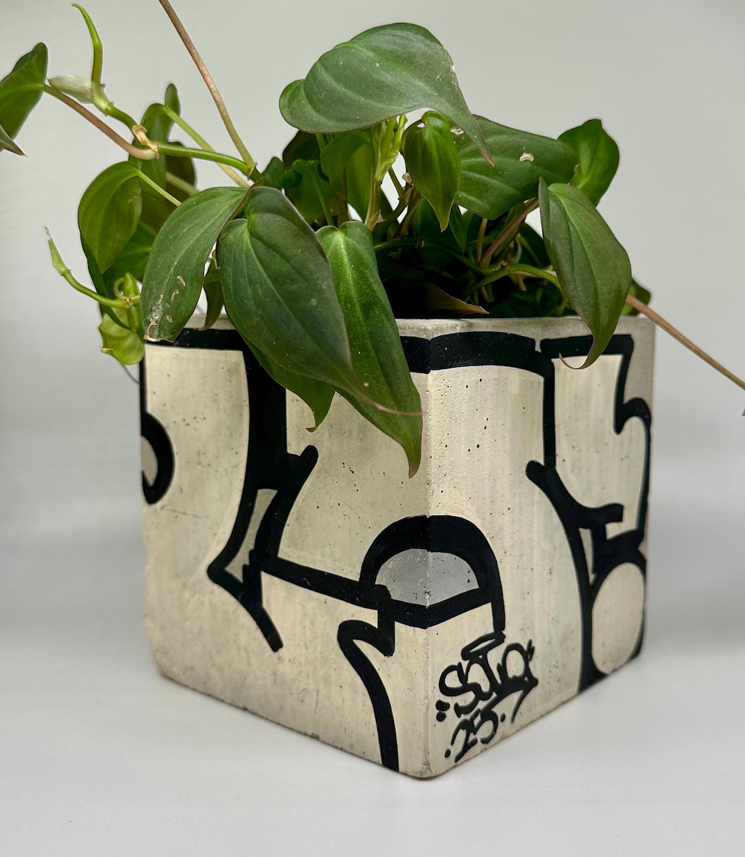 Graffiti Planter / Graffiti / Custom Art / Custom Gift / Unique Planter / Street Art / Concrete P... | Etsy (US)
