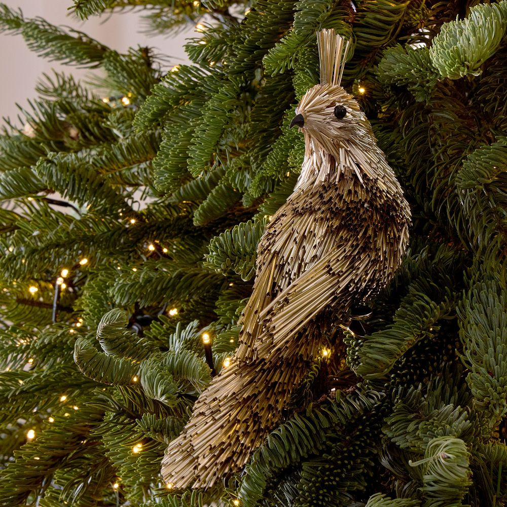 Mylar Small Bird Clip-On Ornament | West Elm (US)