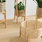 Adobe Rattan Planters | West Elm (US)
