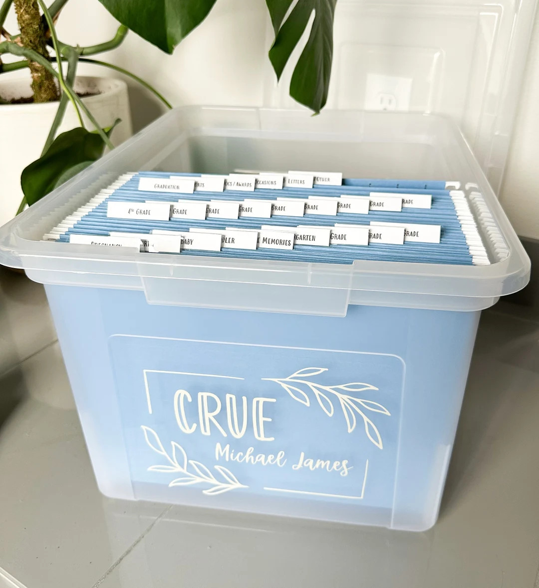 Milestone Box, Memory Box, Kids File Box, Family Organization Box, Keepsake Box, Milestone Tote, ... | Etsy (US)