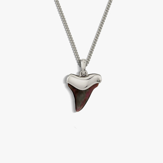 Shark Tooth Necklace | Awe Inspired