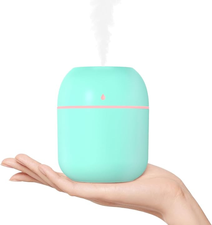 Portable Small Humidifier, USB Personal Desktop Humidifier for Car, Office Room, Bedroom, Auto Sh... | Amazon (US)