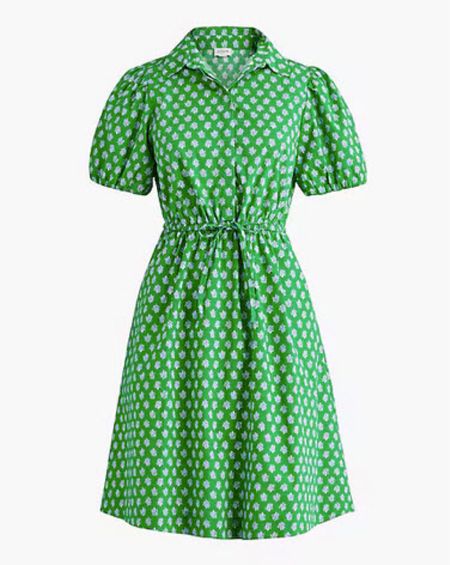 Puff sleeve drawstring waist shirt dress - comes in 5 colors! Green dress 

#LTKfindsunder100 #LTKSeasonal #LTKsalealert