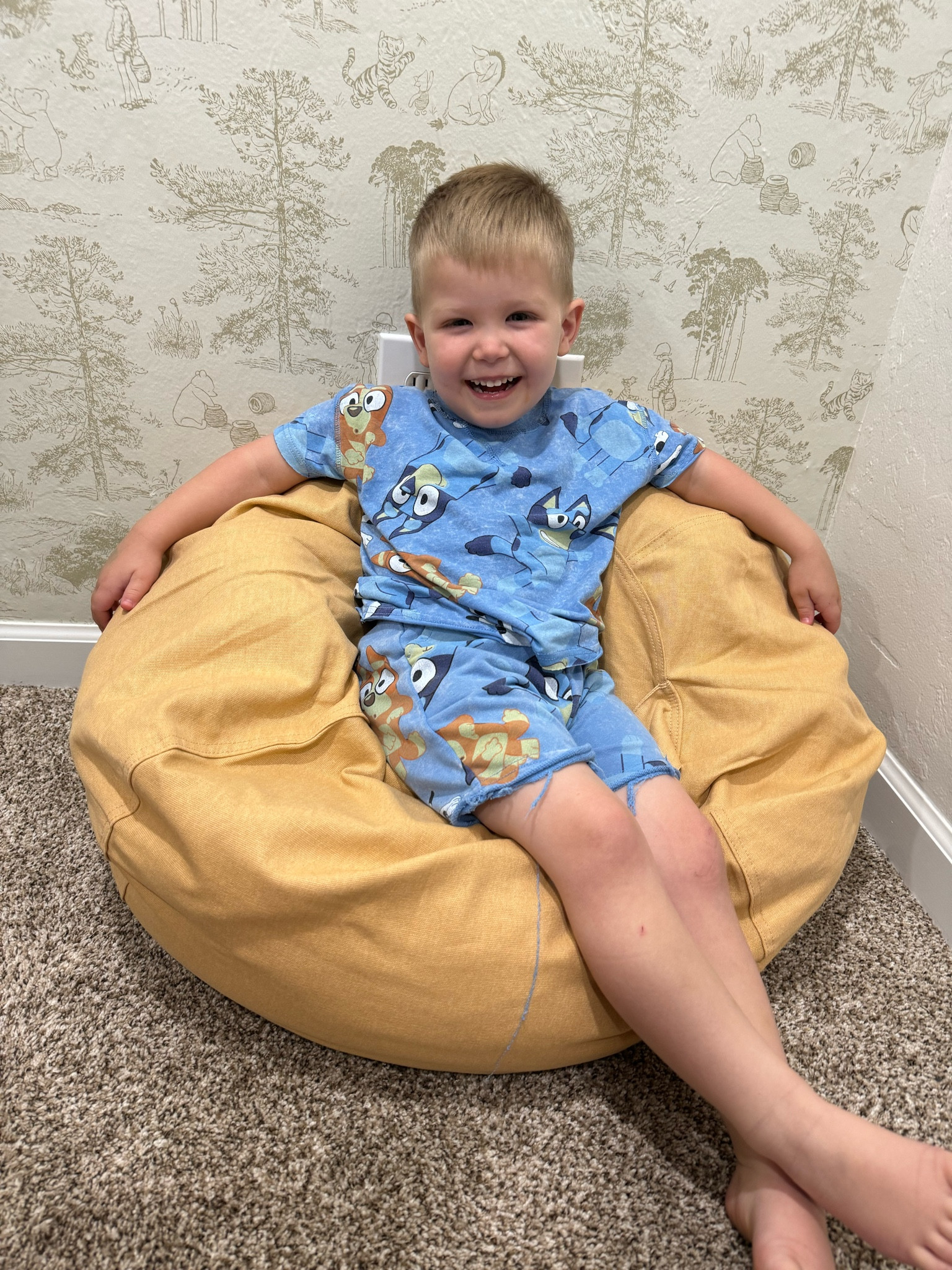 Stuffed animal bean bag storage, little boy’s bedroom

#LTKKids #LTKHome #LTKFamily