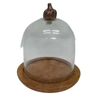 5.5" Glass Cloche with Pumpkin Knob & Wood Base by Ashland® | Michaels Stores