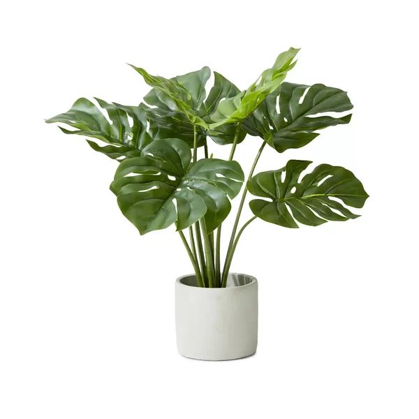 21" Evergreen Plant in Pot | Wayfair North America