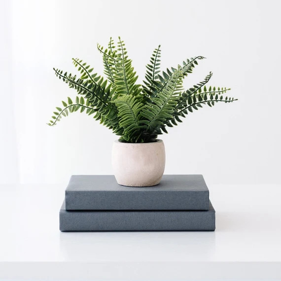 Set of 2 Gray Coffee Table BooksCoastal Shelf DecorStaging | Etsy | Etsy (US)