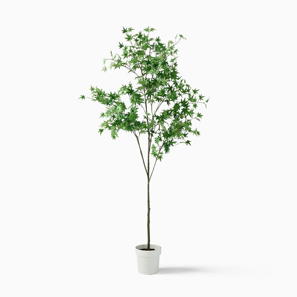 Faux Maple Potted Tree | West Elm (US)