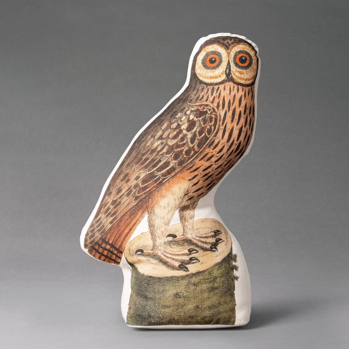 16"x8" Barn Owl Novelty Plush Pillow - John Derian For Target | Target