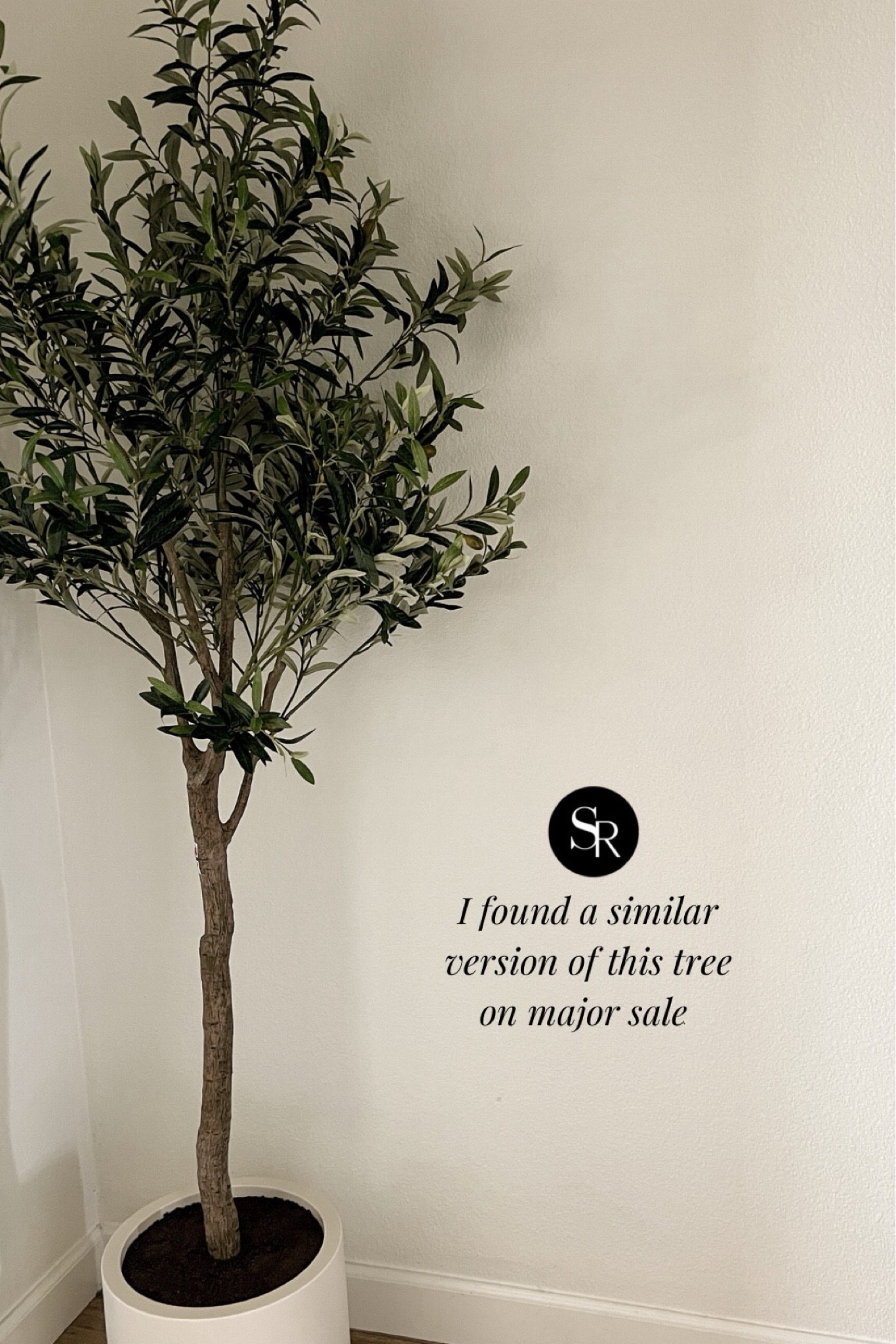 AMAZO PRIME DEAL 

found a similar version of my olive tree. The price is so good. Linking below. 

xo, Sandroxxie by Sandra www.sandroxxie.com | #sandroxxie 

#LTKSaleAlert #LTKFindsUnder100 #LTKHome