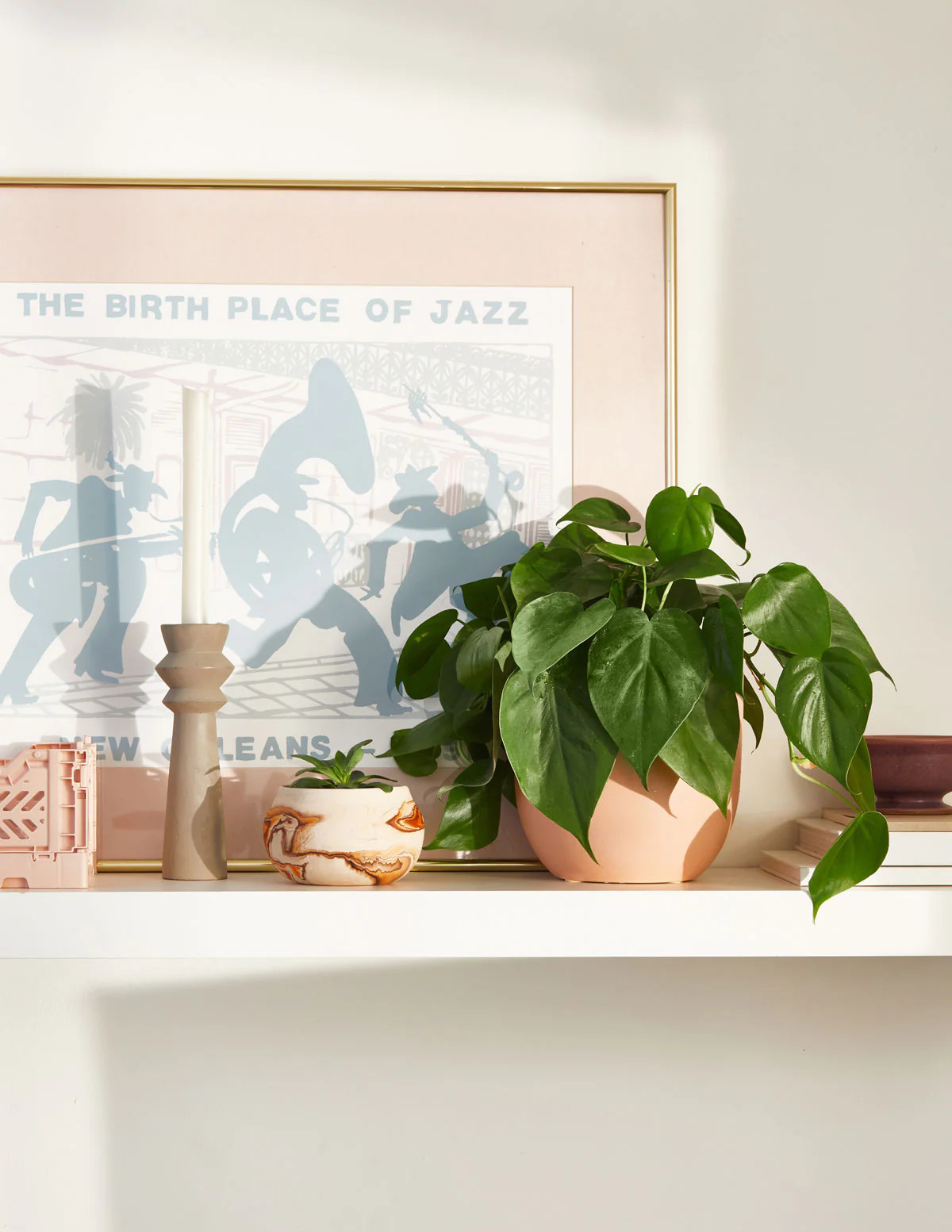 Philodendron Green | The Sill
