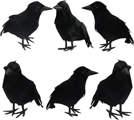 FUNPENY Halloween Black Feathered Crows, 6 Pack Lifelik Halloween Decoration Birds with Real Feat... | Amazon (US)