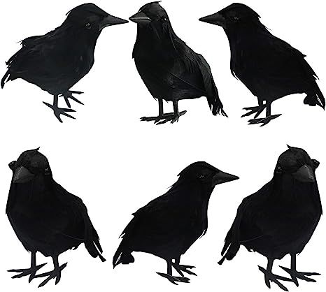 FUNPENY Halloween Black Feathered Crows, 6 Pack Lifelik Halloween Decoration Birds with Real Feat... | Amazon (US)