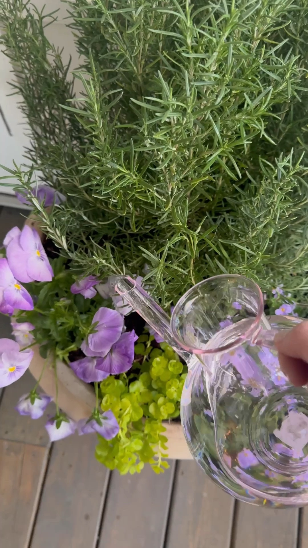 Terrain makes gardening chic 🪏 shop this rose glass watering can below!  

#shopterrain @shopterrain #ad

#LTKSeasonal #LTKHome