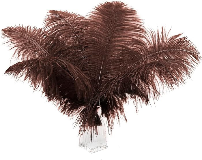 Ballinger Brown Large Ostrich Feathers - 12Pcs 12-14inch Big Feathers for Vase,Wedding Party Cent... | Amazon (US)