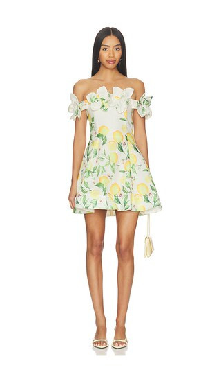 ELLIATT Hana Off The Shoulder Mini Dress in Neutral,Yellow. - size XL | Revolve Clothing (Global)