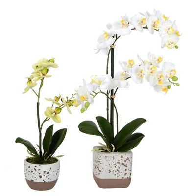 Vickerman 13.5", 18" Artificial Mini White Phalaenopsis, Set Of 2, Real Touch | Target