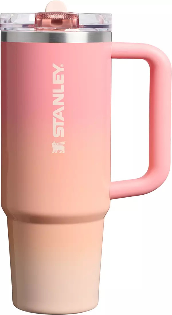 Stanley 30 oz. Quencher ProTour Flip Straw Tumbler - Summer Edit | DICK'S Sporting Goods