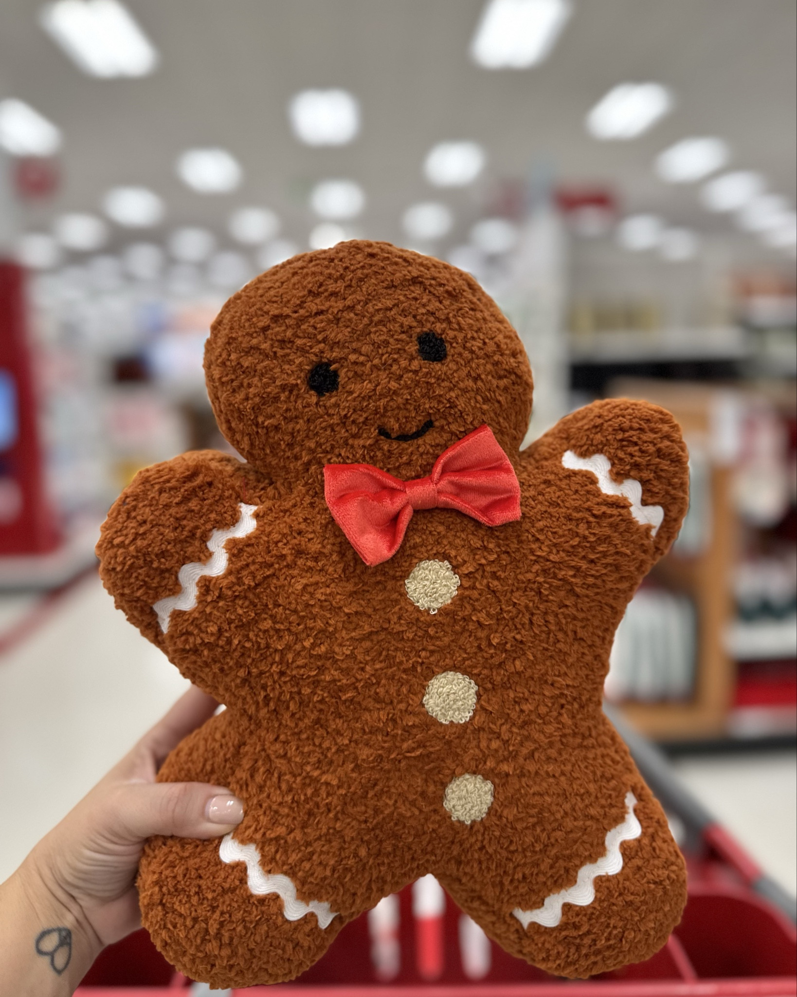 Cozy Christmas Pillows & Blankets 🎄❤️

These Target holiday finds are the perfect way to make your home feel festive and cozy this season. Soft, cute, and budget-friendly — I want them all! 

#LTKKids #LTKSeasonal #LTKFamily