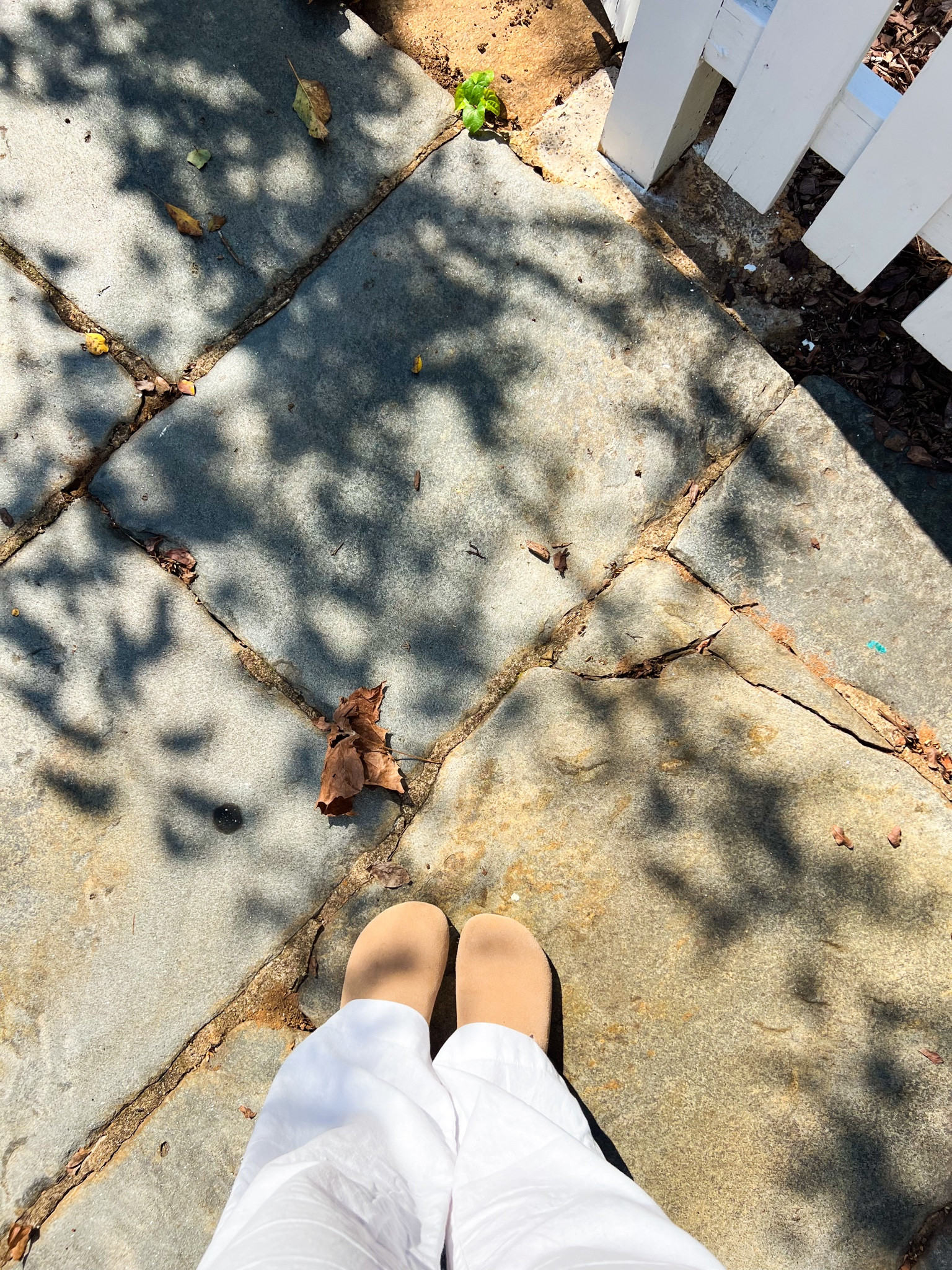 Birkenstock clog dupe!! So comfy and perfect for fall🤩🫶🏼🍁

#LTKFindsUnder50 #LTKStyleTip #LTKSeasonal