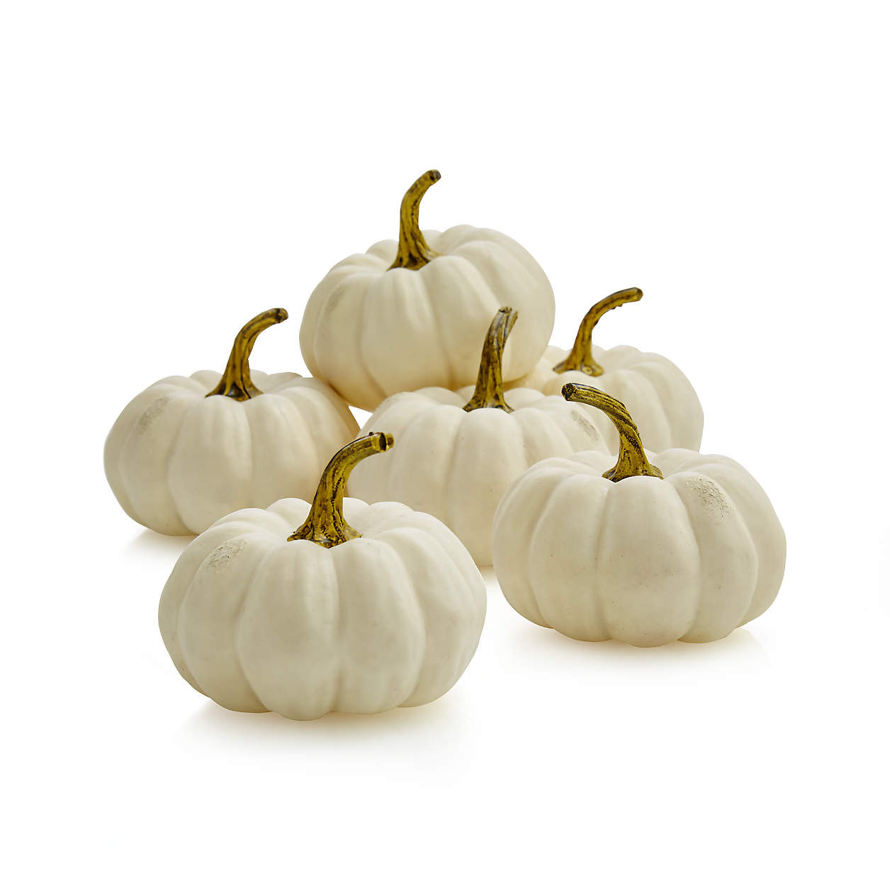 White Pumpkin Bowl & Vase Filler + Reviews | Crate and Barrel | Crate & Barrel