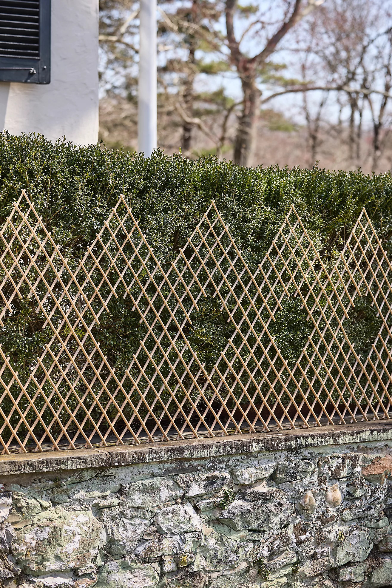Expandable Woven Willow Diamond Fencing | Terrain