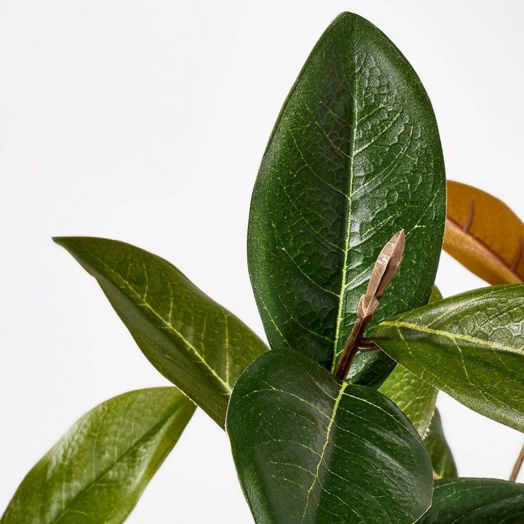 Large Magnolia Leaf Potted - Threshold™ designed with Studio McGee | Target