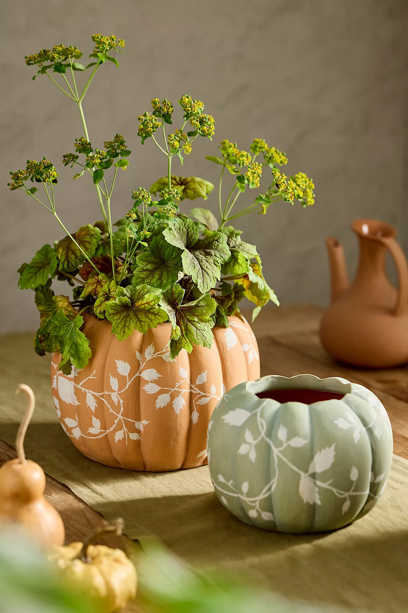 Autumn Pumpkin Terracotta Planter | Terrain