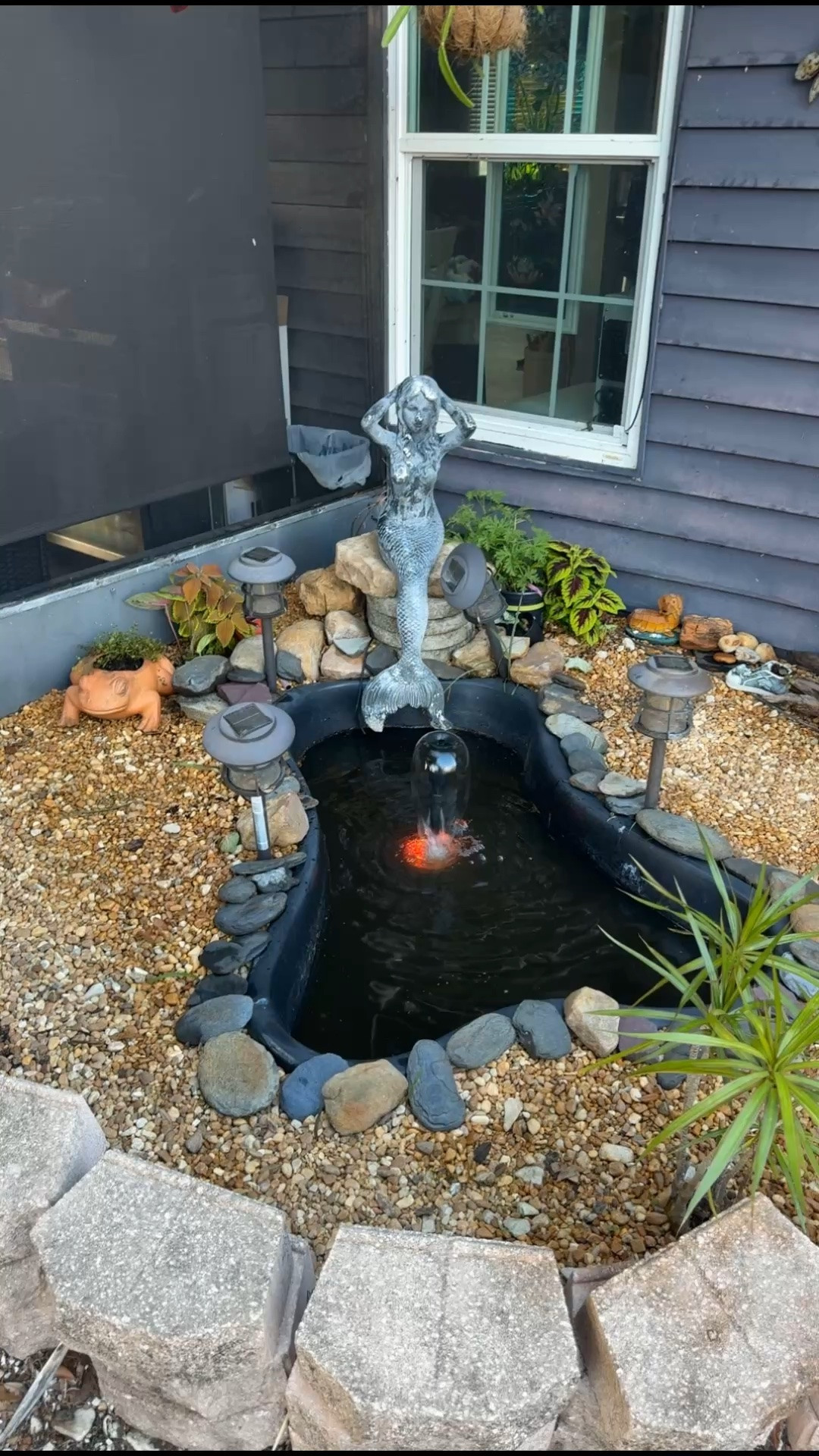 Amazon frog pond!

#LTKSeasonal