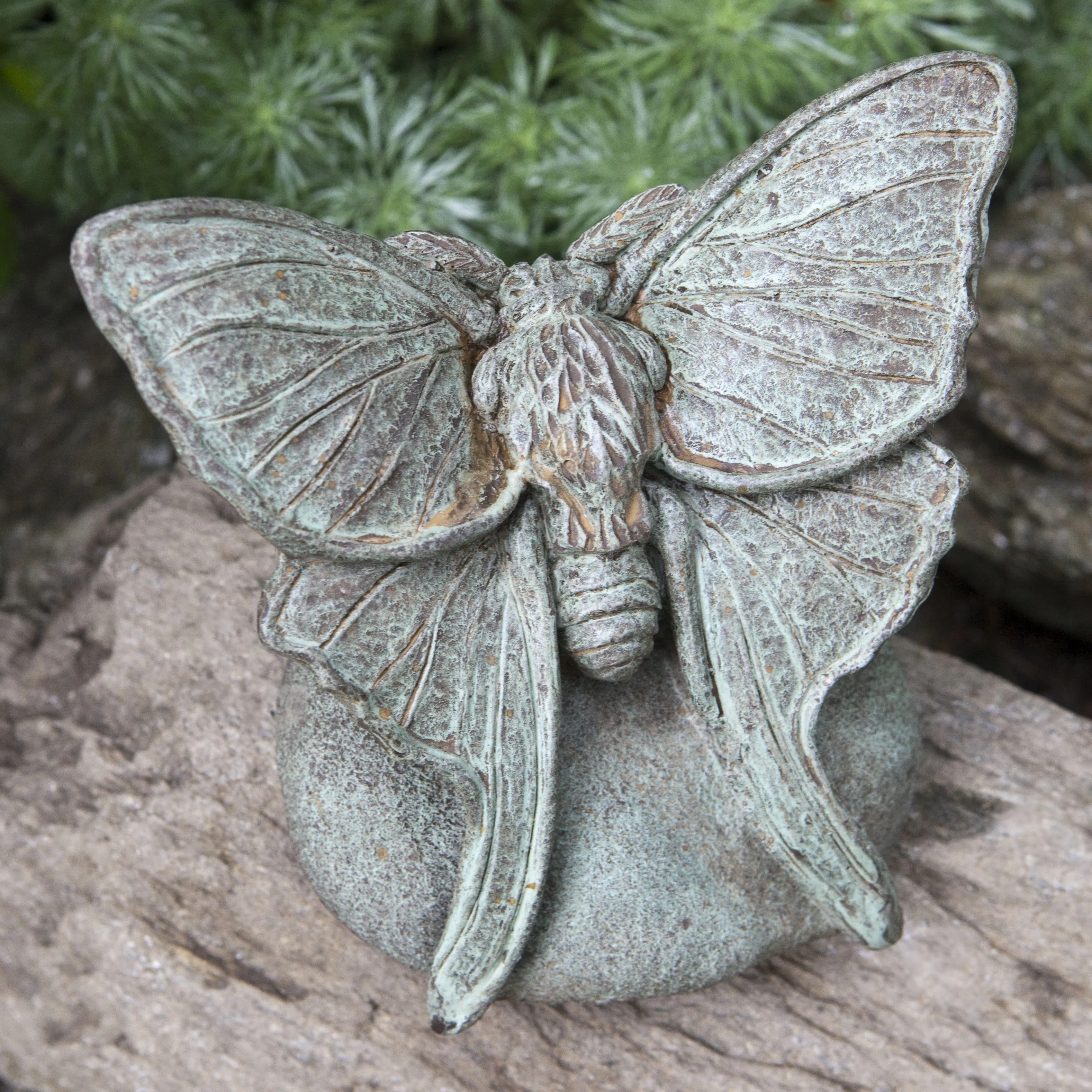 Campania International Lunar Moth Statue & Reviews | Wayfair | Wayfair North America