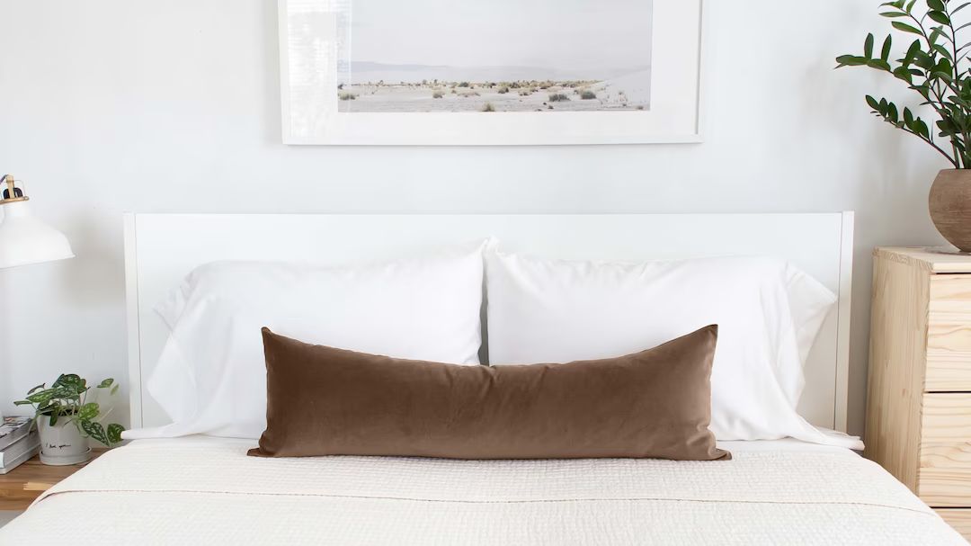 Brown Lumbar Pillow Mocha Velvet Throw Pillow Cover Neutral Decorative Cushion Cover Extra Long B... | Etsy (US)