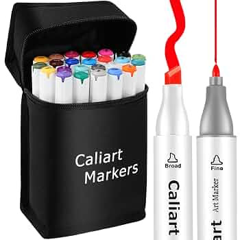 Caliart Alcohol Based Markers, 24 Colors Dual Tip Art Marker Set Fine & Chisel, Permanent Colored... | Amazon (US)