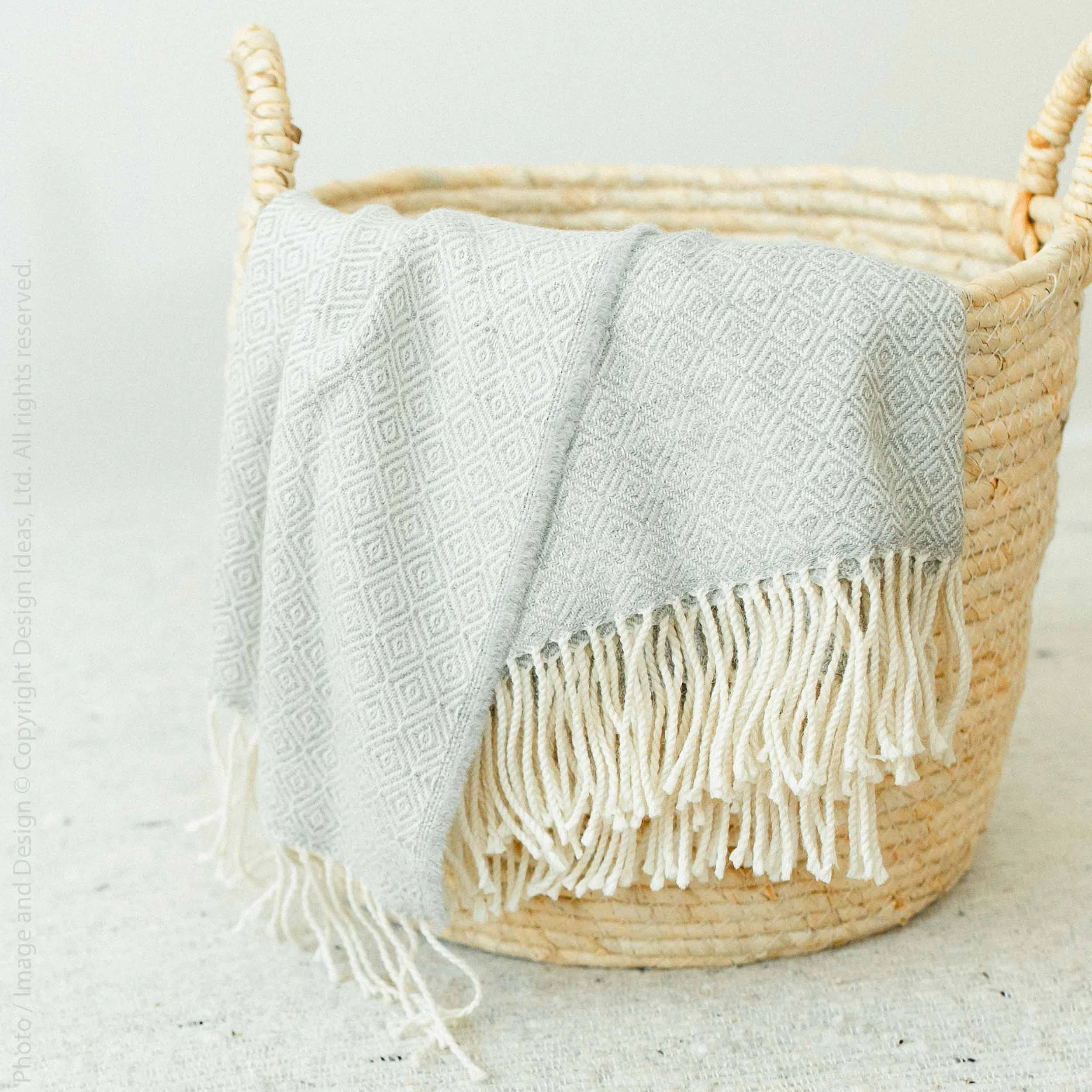 Beachcrest Home™ Crumrine Wicker Decorative Basket | Wayfair North America
