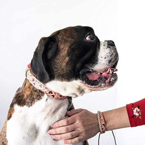 Pettsie Matching Dog Collar and Owner Friendship Bracelet, Adjustable Size Small and Medium, Safe, D | Amazon (US)