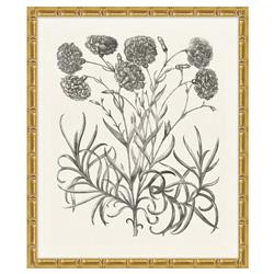 Amanda French Country Black Floral & Botanical Gold Frame Illustration 14 | Kathy Kuo Home