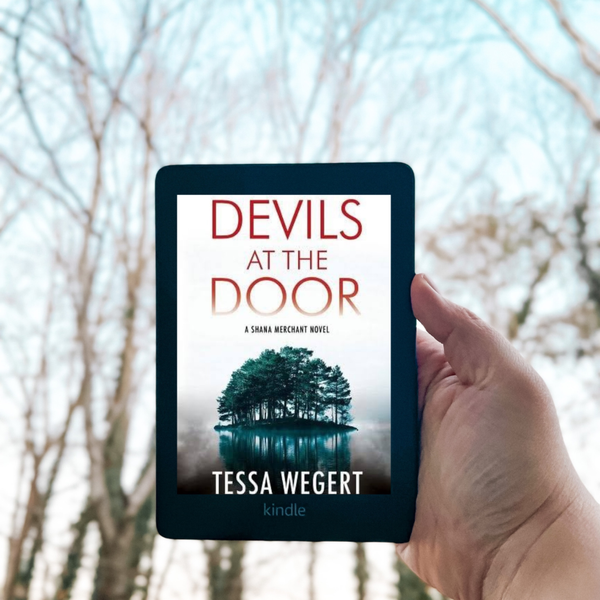 Book, thriller, Amazon kindle

#LTKfindsunder50