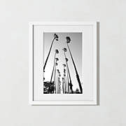 'Palm Trees Road' Photographic Print in White Frame 17″x21″ – 17″W x 21″H – White | CB2