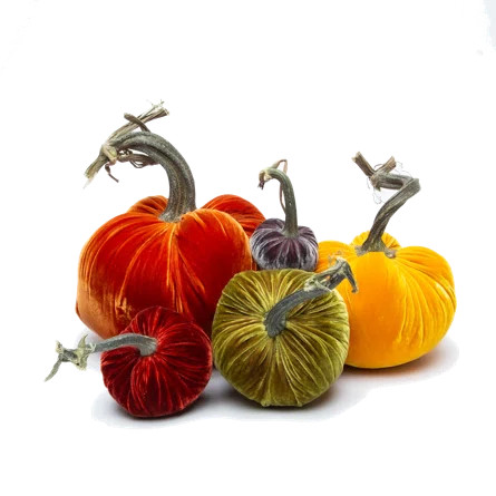 Similar Holiday Accents & Decor Below | Wayfair North America