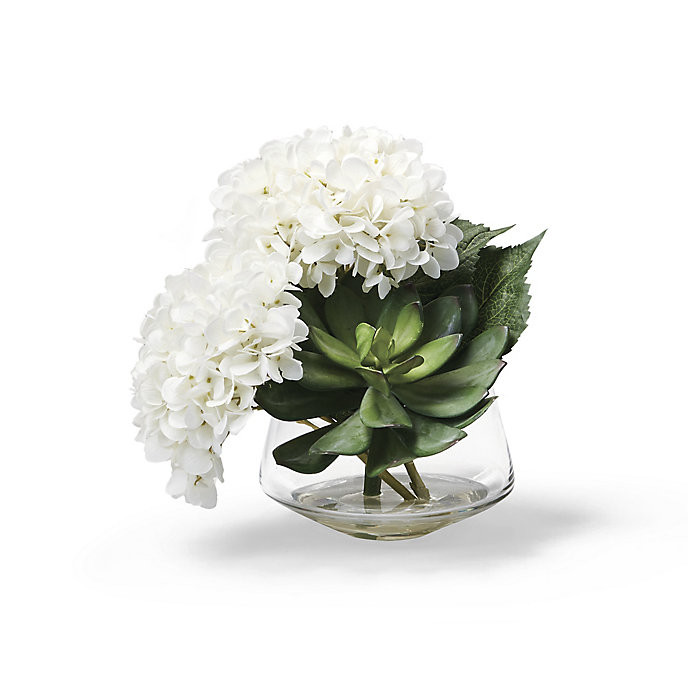 Hydrangea Succulent Arrangement | Frontgate