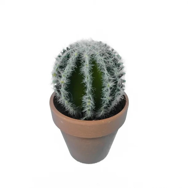 Mainstays Barrel Cactus Plant | Walmart (US)
