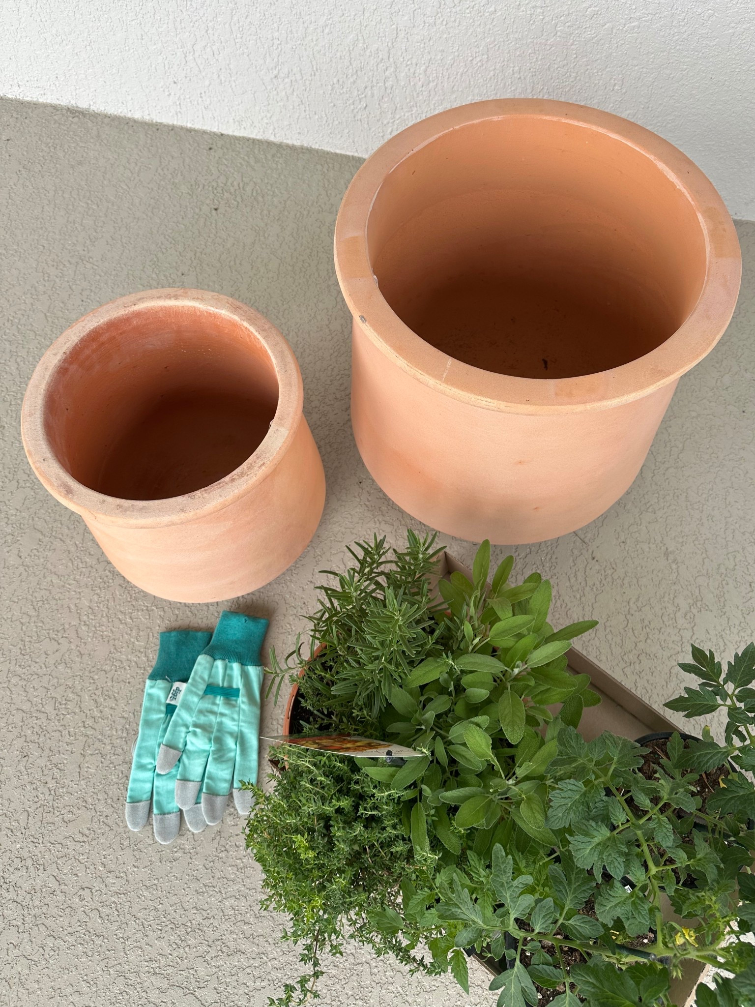 planters🪴

Planters/ spring/ Home Depot/ spring planting / home / terracotta pots 

#LTKFamily #LTKHome #LTKSpringSale