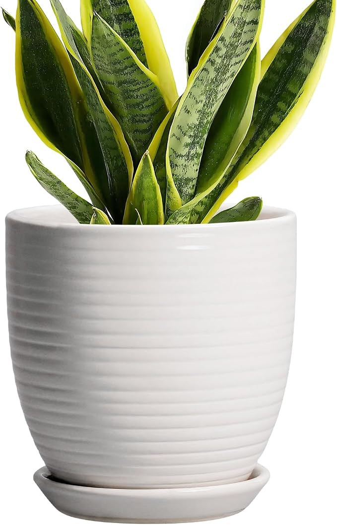Ceramic Pots for Plants - 6 Inch Plant Pot with Drainage Hole and Saucer, Round Planters for Indo... | Amazon (US)