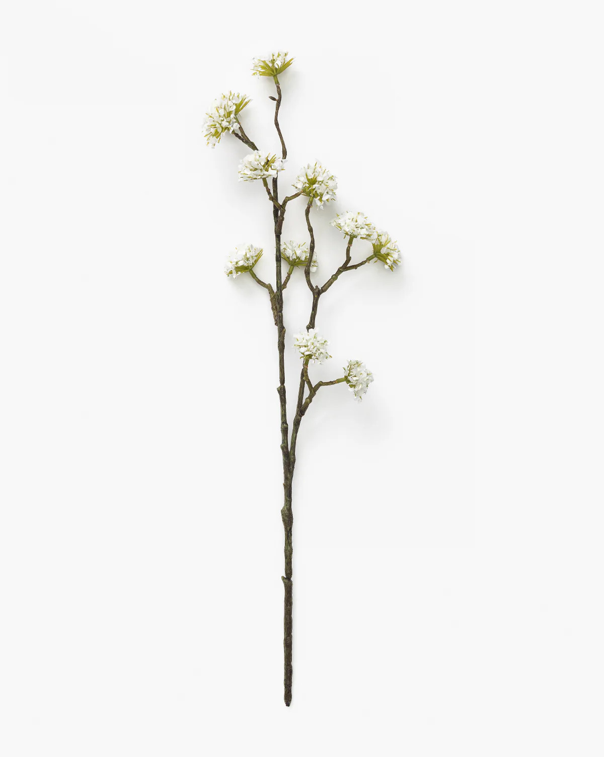 White Blossom Stem | McGee & Co. (US)